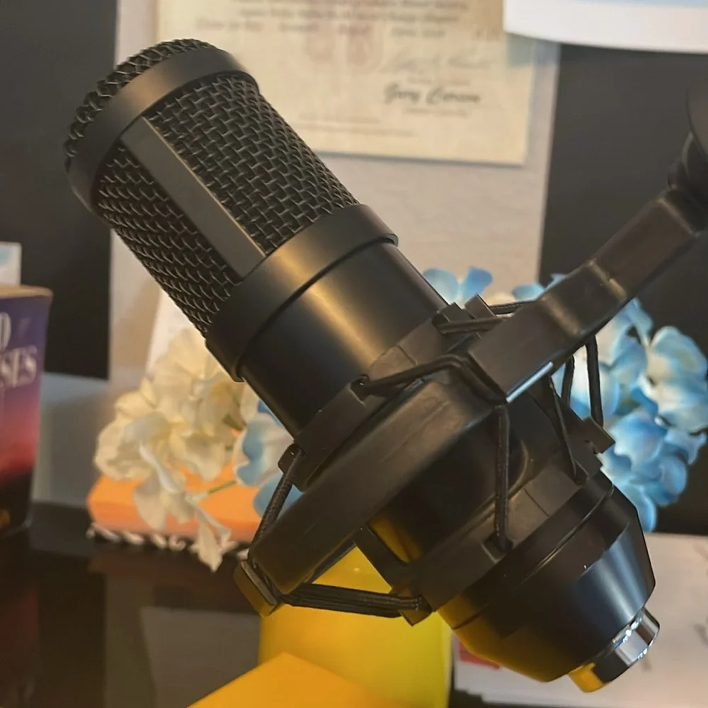 Microphone and Microphone Holder